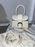 Delvaux Brilliant Mini