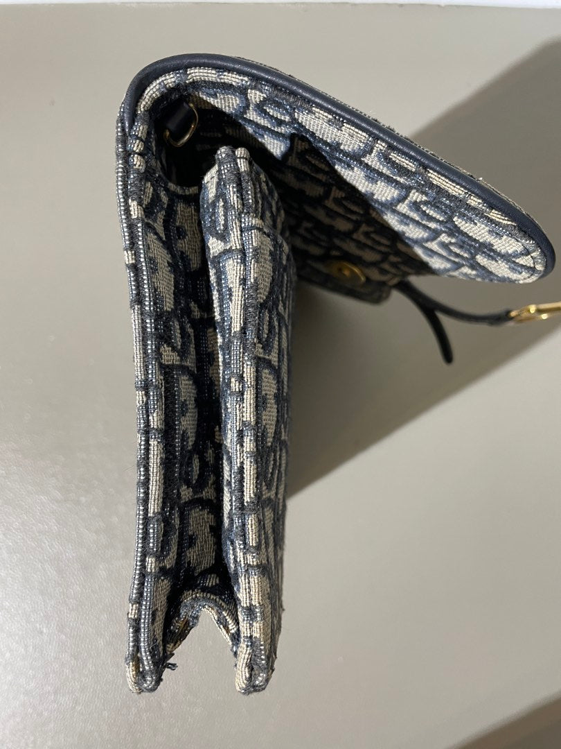 Dior Saddle Woc, view 2