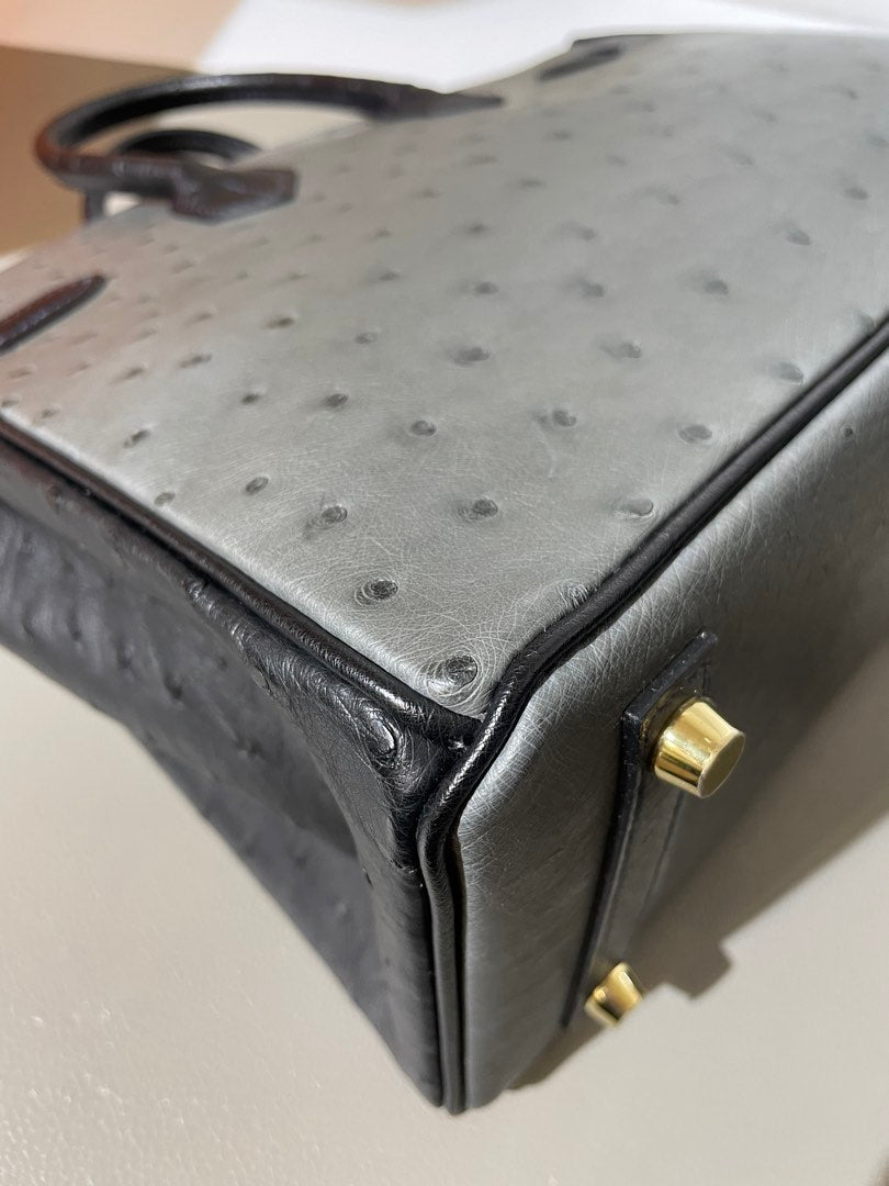 Hermes HSS Birkin 25 Ostrich, view 6